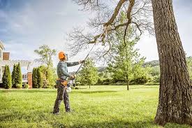 Best Lawn Pest Prevention  in Westvale, NY