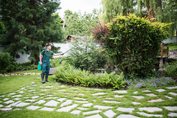 Best Aeration Services  in Westvale, NY