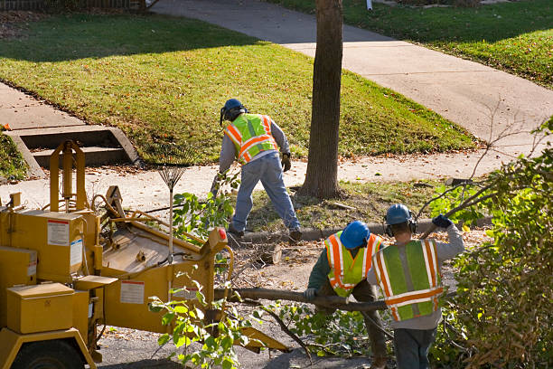 Best Lawn Watering Services  in Westvale, NY