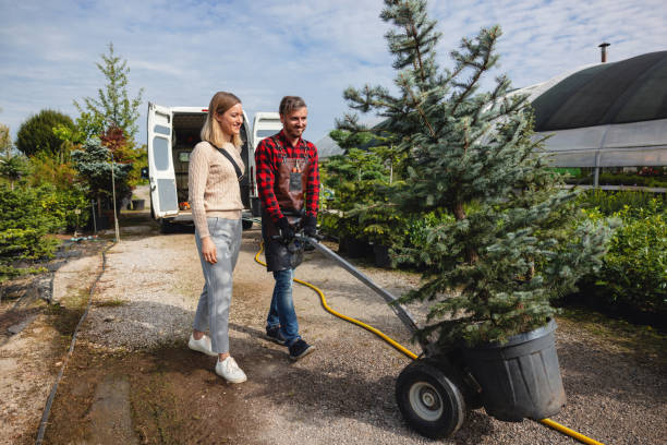 Best Storm Damage Tree Cleanup  in Westvale, NY